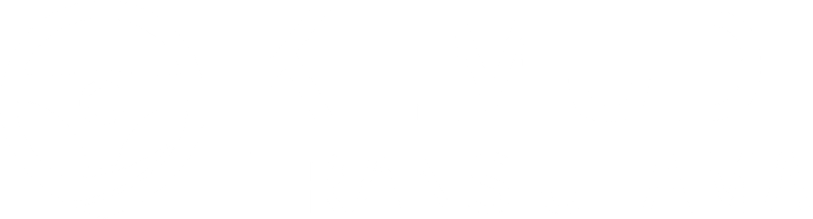 logo white transparent